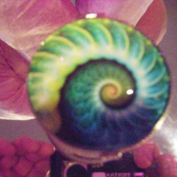 Hinged Trinket Box Catalina By The Sea White With Glass Top - Picture 6 of 6